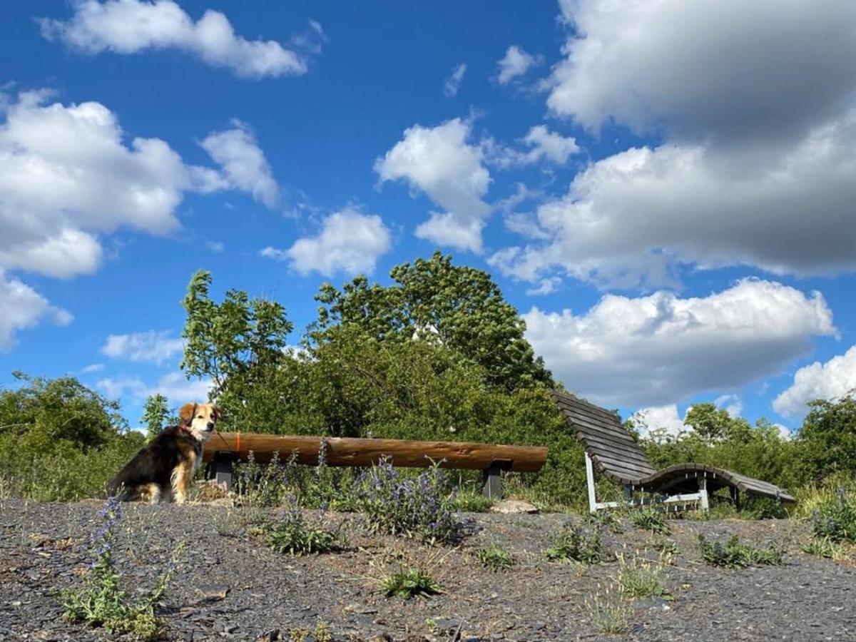 Ferienwohnungen Bauernschmause Polch Exterior foto